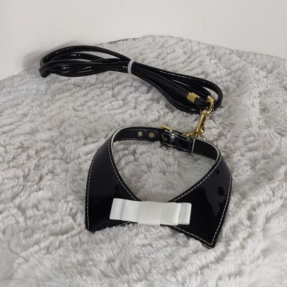 Dog Collar & Leash 12 - Picture 1 of 5